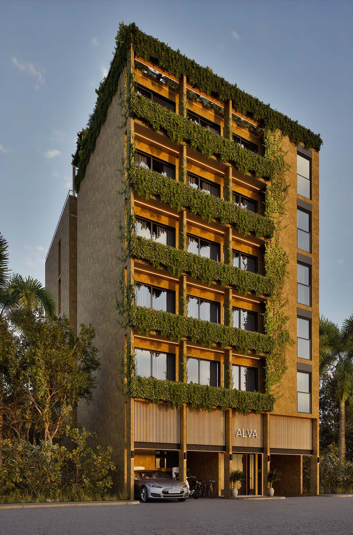 image front
